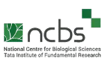 ncbs1-150x93